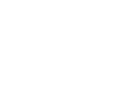 Logo Alexia Leveillé-Nizerolle
